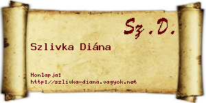 Szlivka Diána névjegykártya